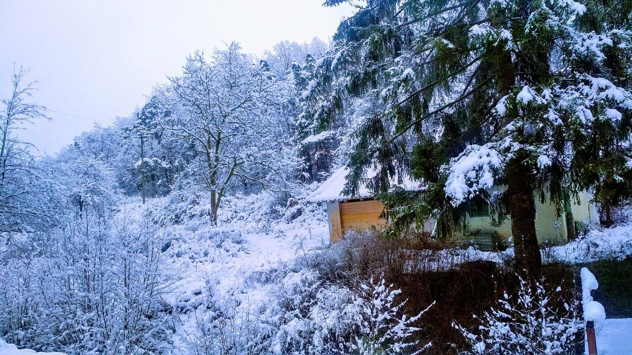 Giusvalla Forest Village Dego Buitenkant foto